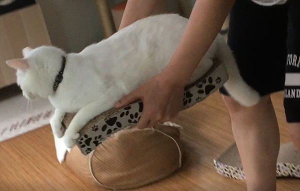 キャプチャ