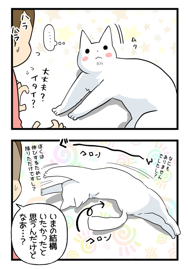 猫の運動神経2