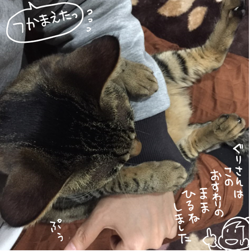 キャプチャ