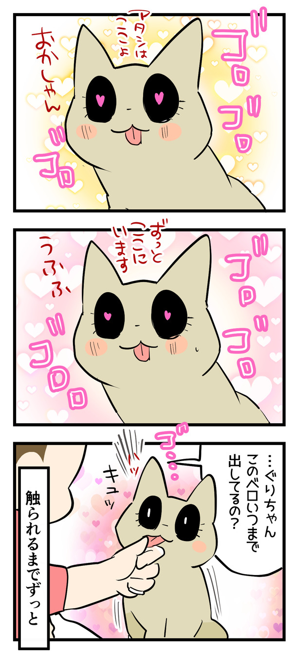 忠犬猫4