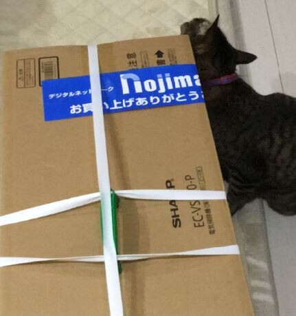 キャプチャ