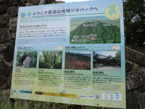 キャプチャ2