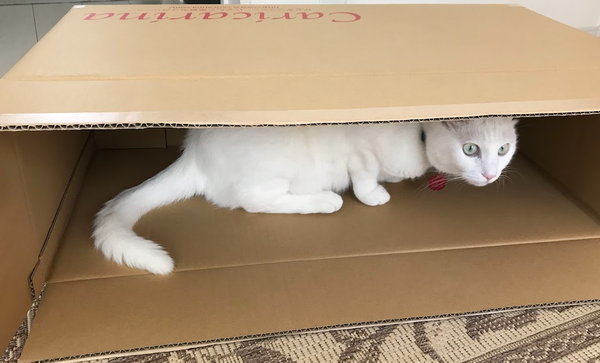 カリカリーナ