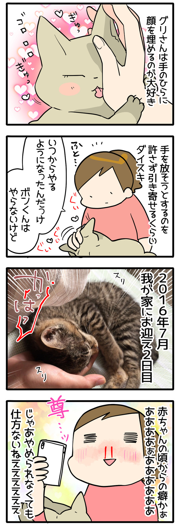 赤ちゃんの頃から