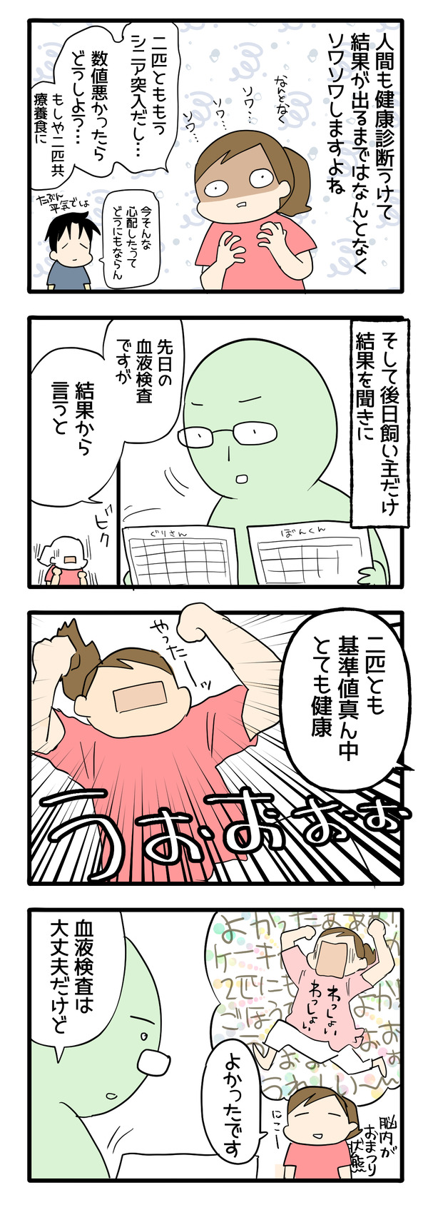猫の健康診断8