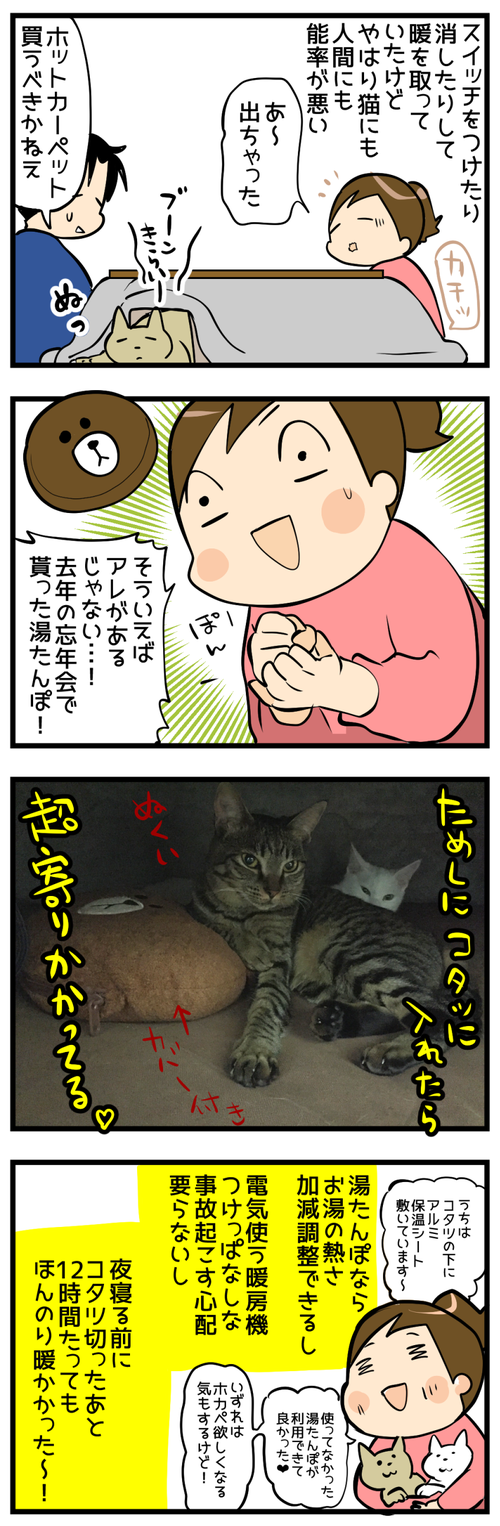 猫とコタツ2