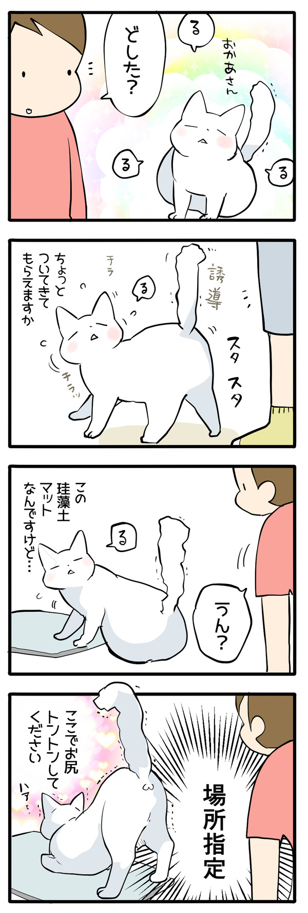 猫の誘導