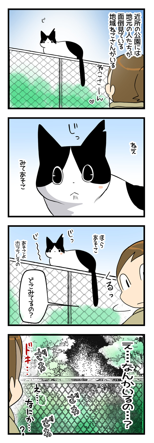 近所の猫