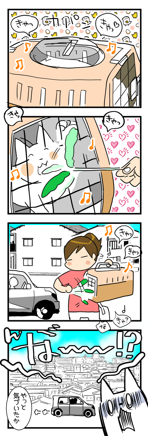 猫じゃらし万歳3