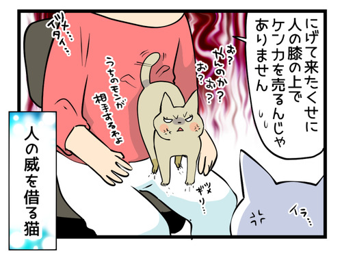 気の強い女2