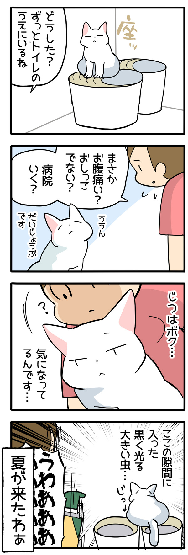 あの乃虫の夏が来たなと思った