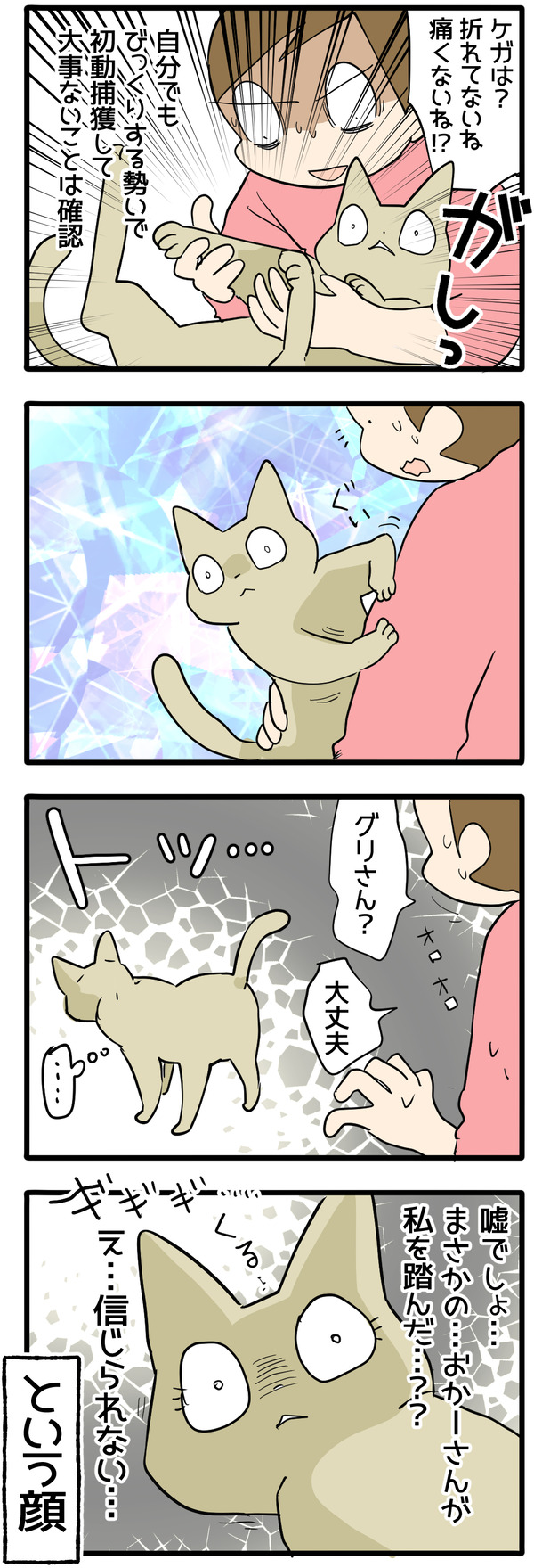 スライディング猫2