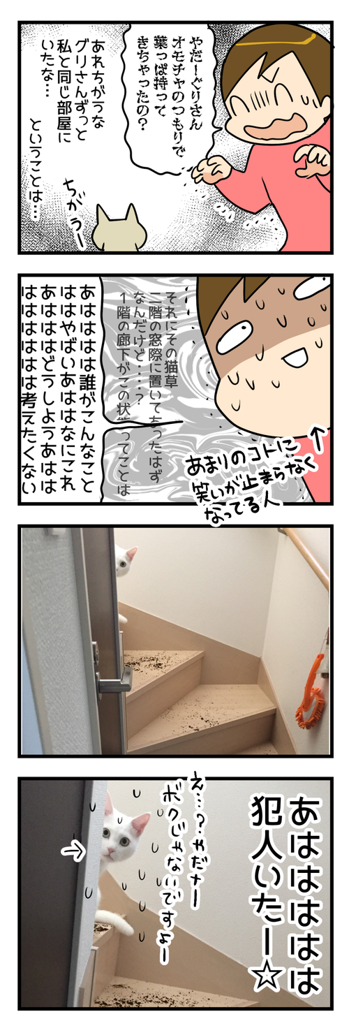 猫草2