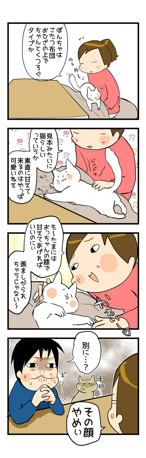 こたつねこ