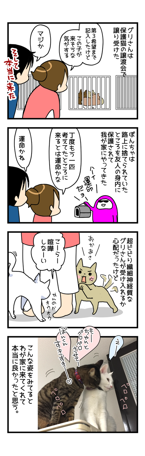 キミに出会えてよかった