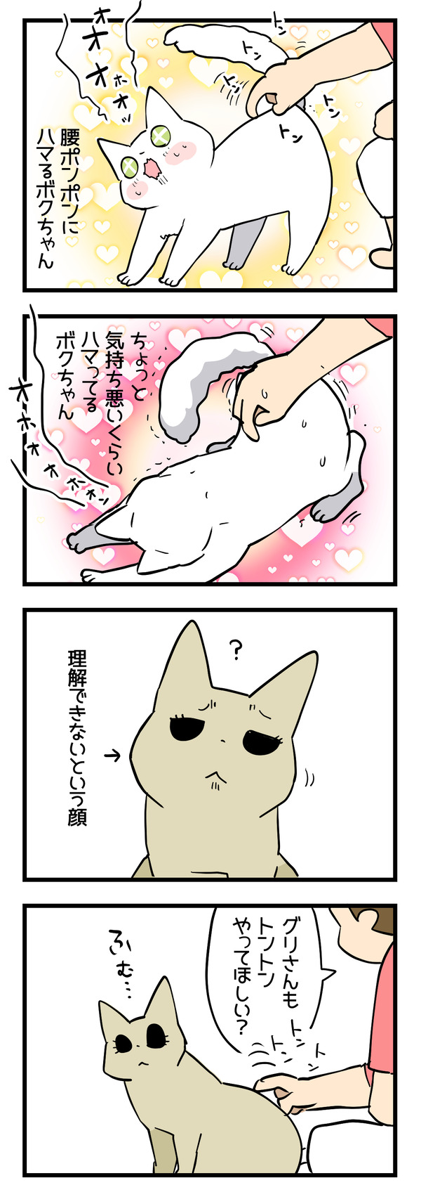 トントン