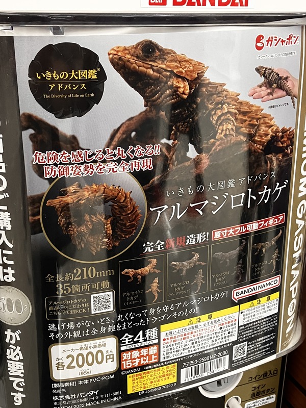 アルマジロトカゲガチャポン