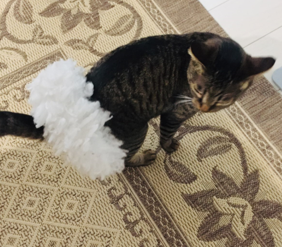 キャプチャ