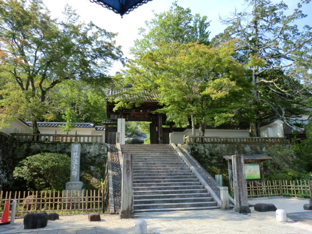 B型夫婦