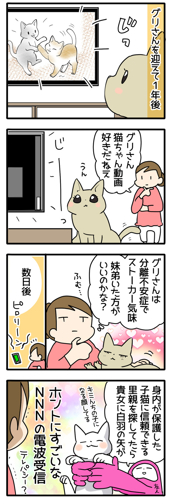 改めての猫紹介2