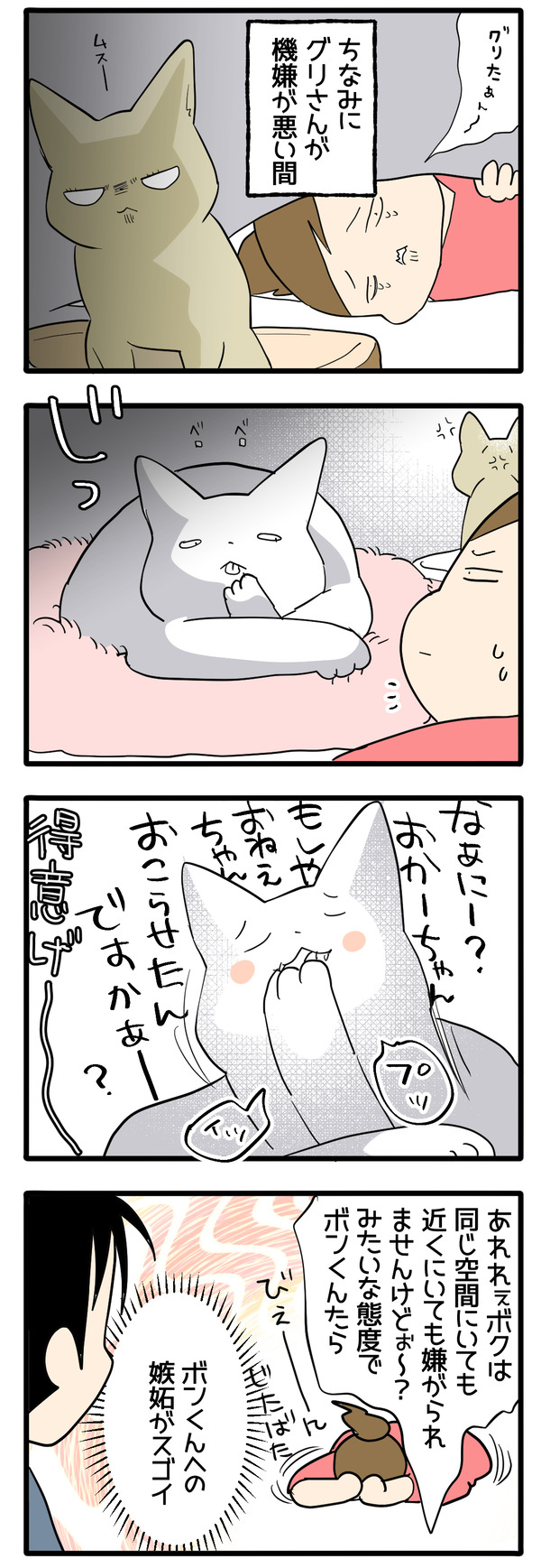 スライディング猫5