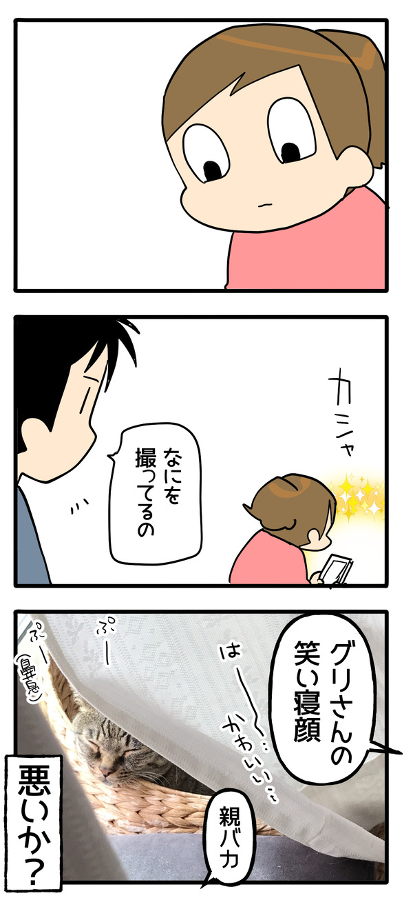いつもの親バカ