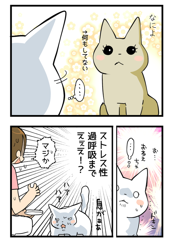 0827-2