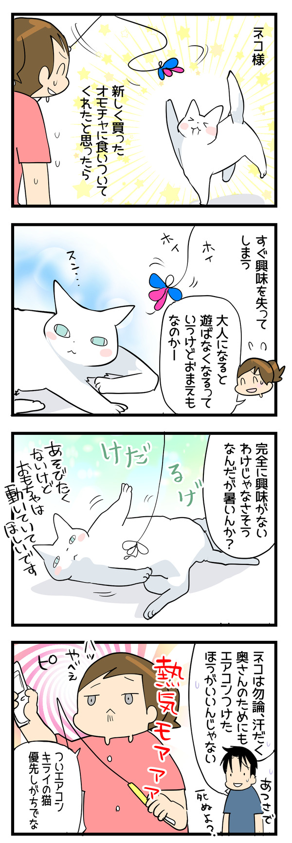 ネコとオモチャ