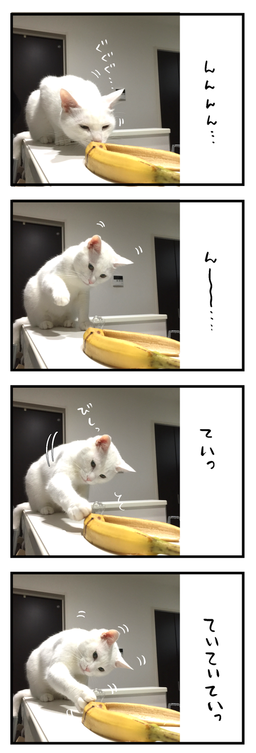 ばにゃにゃ2