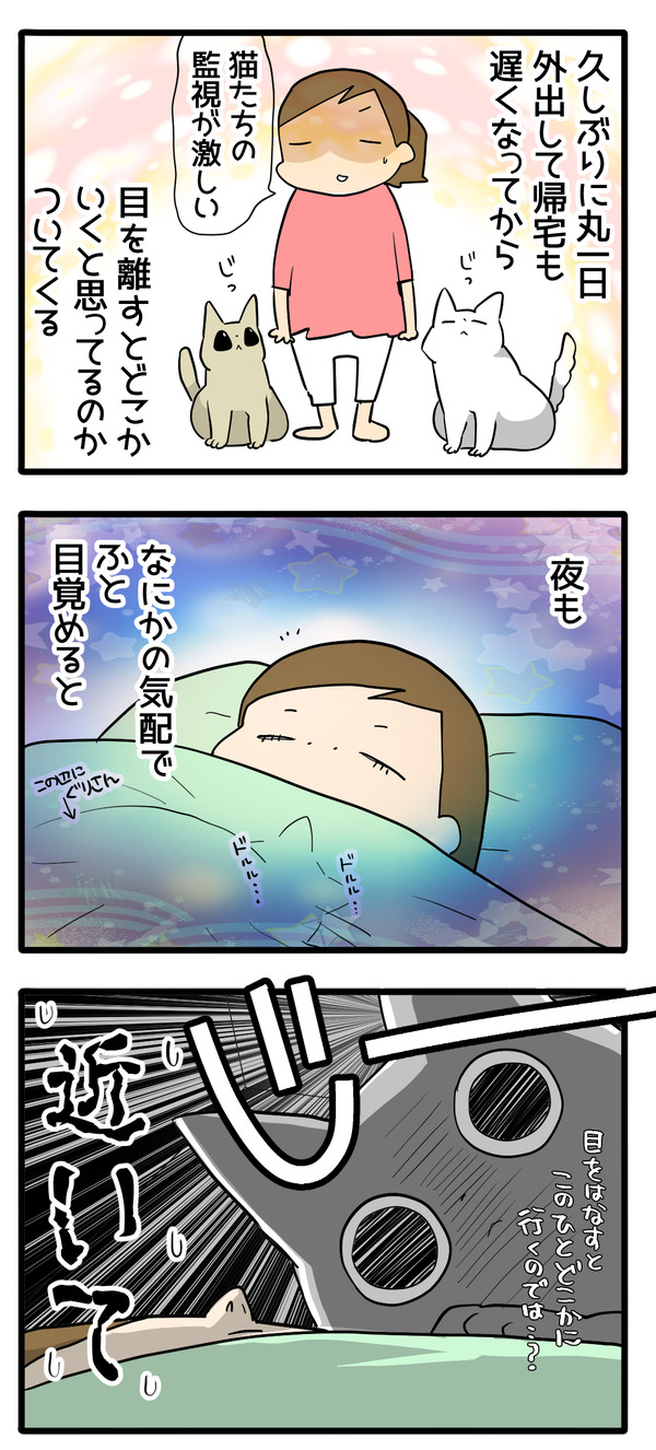 信用ならん飼い主