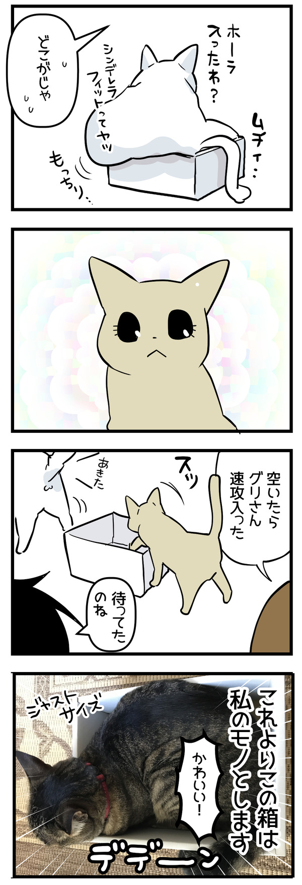 シンデレラフィット2