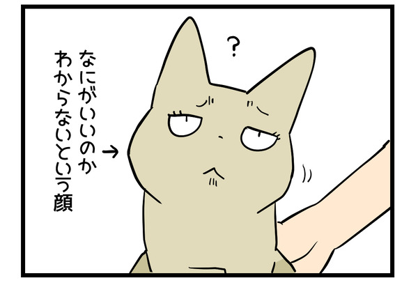 トントン2