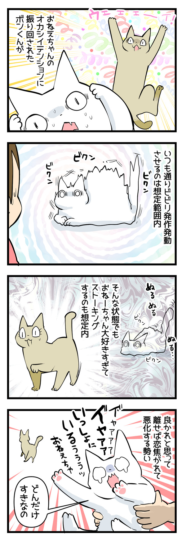 猫たちの変化4