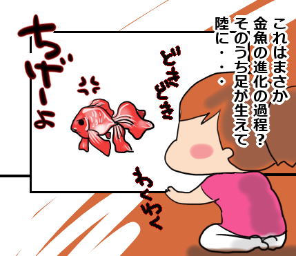 B型夫婦