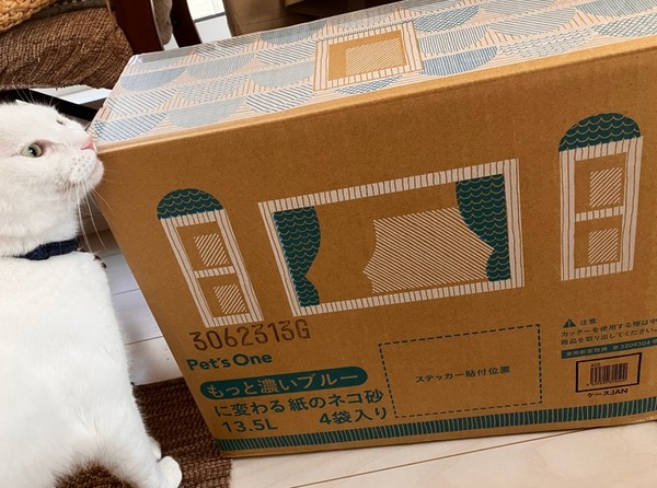 猫お話サムネ