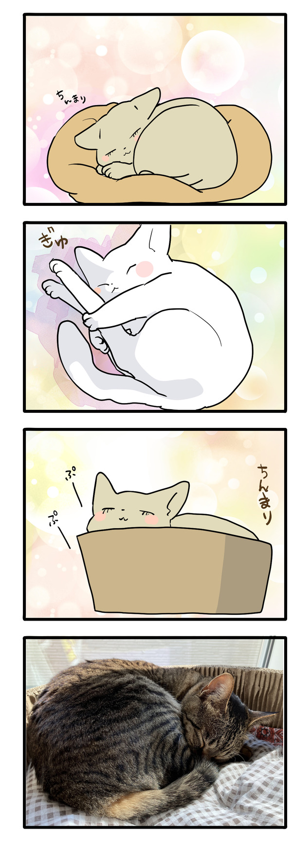 後ろ足伸びがちボーイ