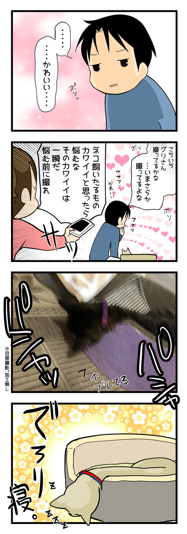 悩むな!悩むまえに撮れ!