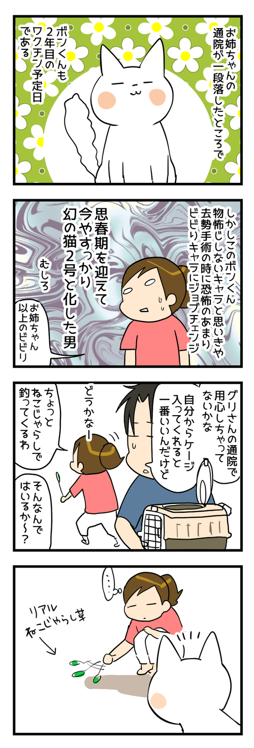 猫じゃらし万歳