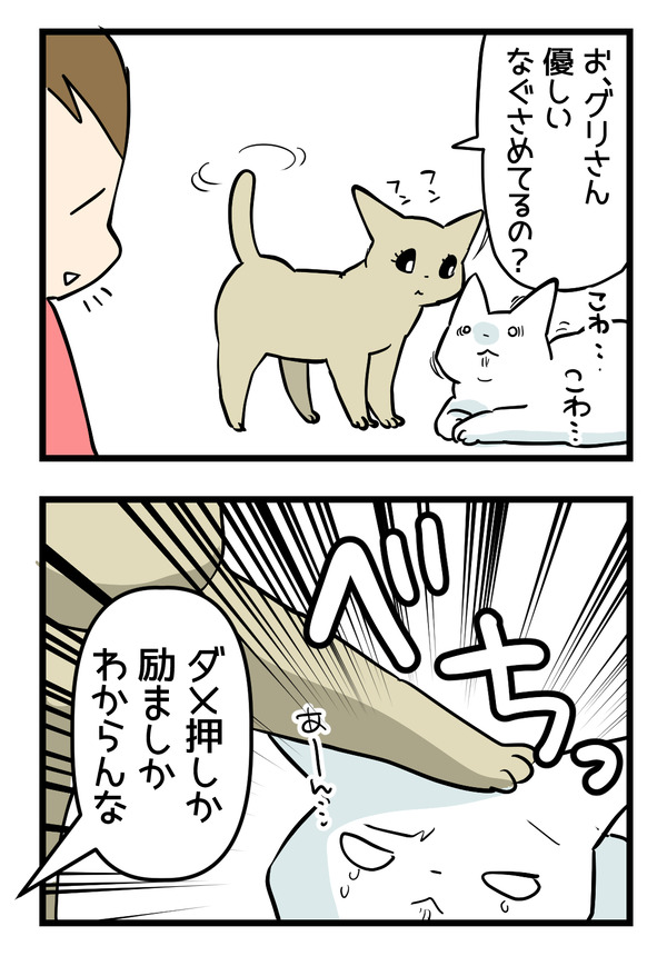 雷と猫3