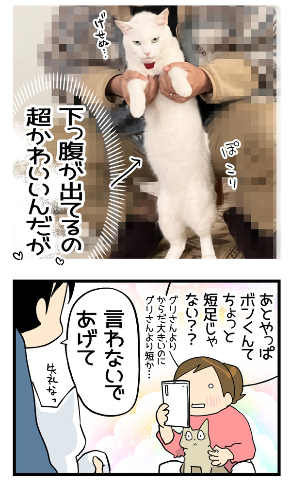 猫のチャームポイント2