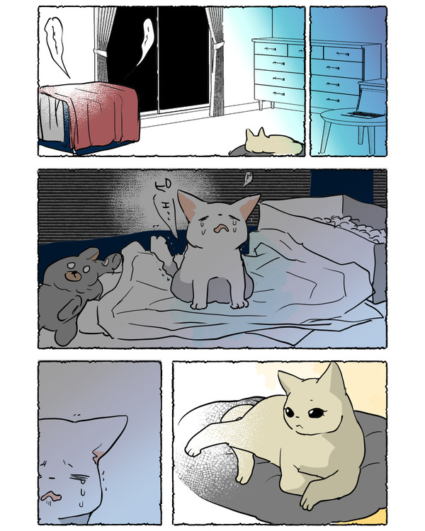03