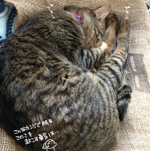 キャプチャ2