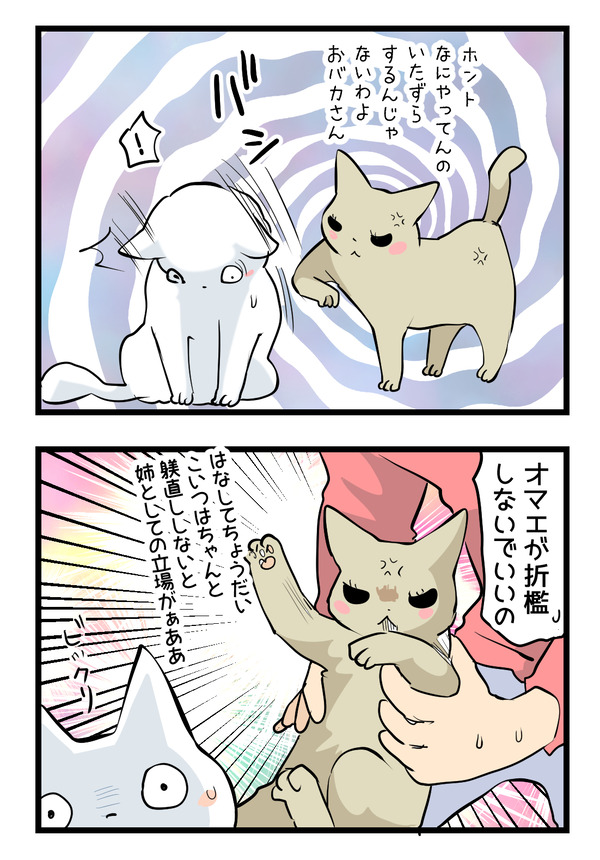 1126-2