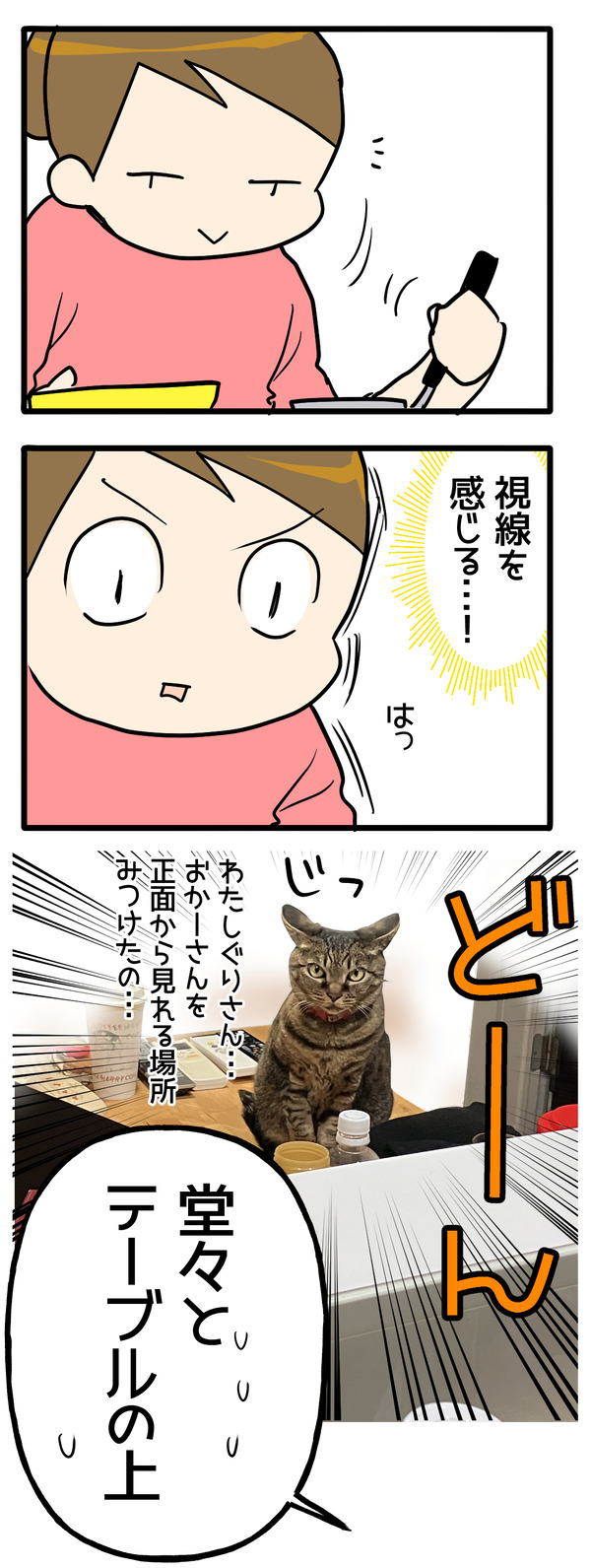見つめたい女2