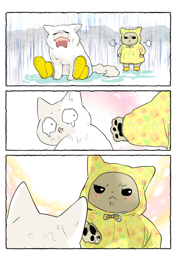 雨の日2