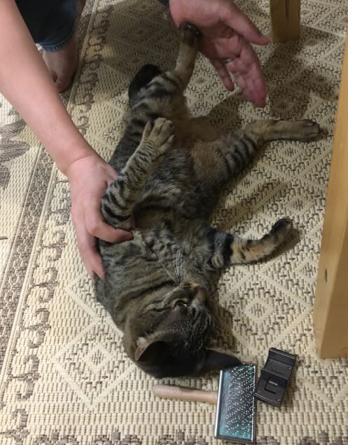 キャプチャ