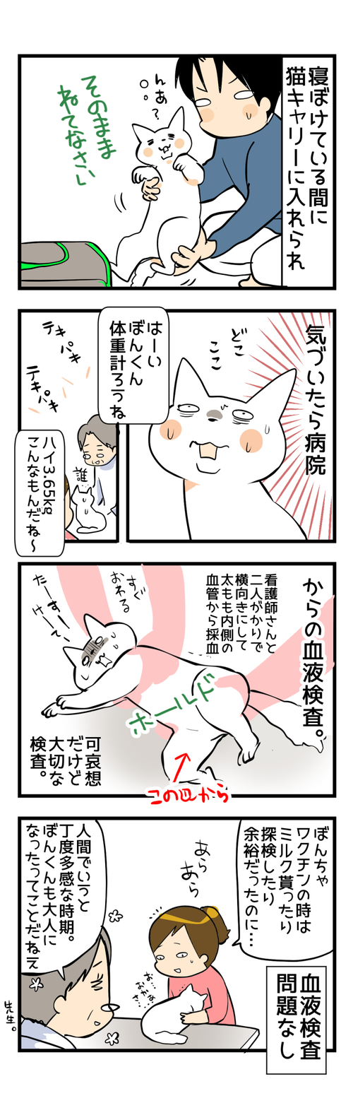 去勢3