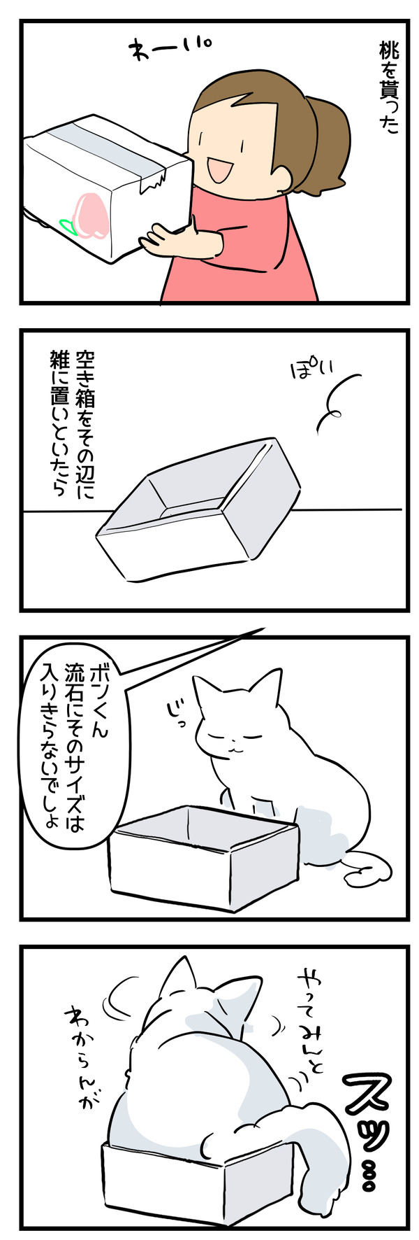 シンデレラフィット