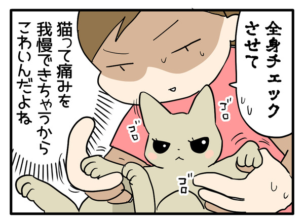 二度目の猫ふんじゃった33