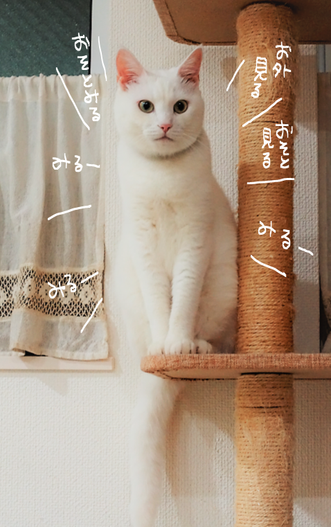 キャプチャ